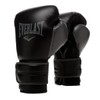 Everlast Powerlock 2R Training Glove - Black - 10 oz