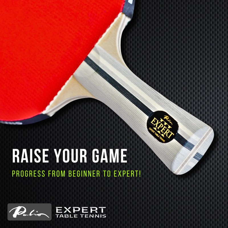 Palio Expert 3.0 Table Tennis Bat & Case | ITTF