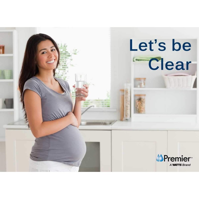 Watts Premier 105351 RO Pure Carbon Pre-Filter, Yellow