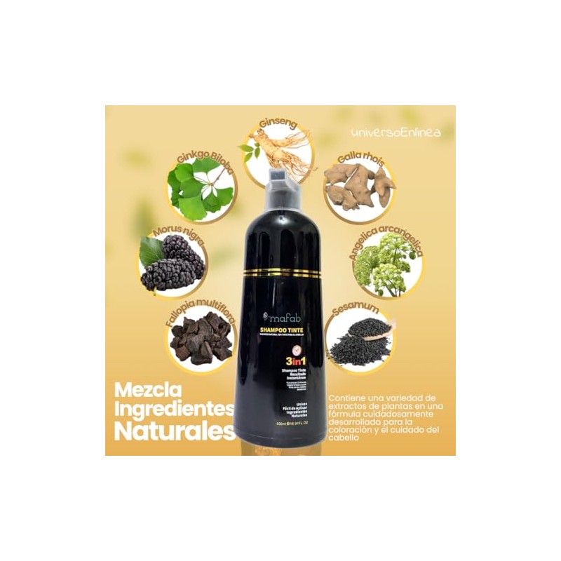 1 Champú para Teñir El Cabello 3 en 1 |