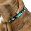 Sambboho- Rolled Dog Collar Saint Barth, Beaded Genuine Leather for