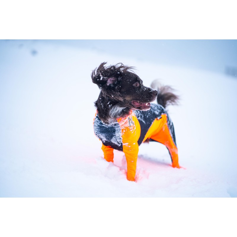 The Non-stop dogwear Protector Snow ensures that your dog's coat
