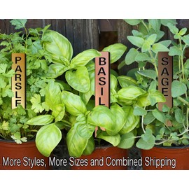 Red Tail Crafters Straight-Up 06in Engraved Metalgraph Acrylic Herb Garden Stakes Plant Markers