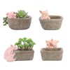 Youfui Home Decor Pot, Succulent Planter Flowerpot Decor for Home