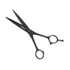 Barbers Scissors Sky Schwarz Edelstahl Japanische Größe