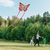 Xida Butterfly Kites for Kids & Adults, Extremly Easy to