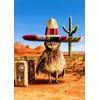 Owl Sombrero Avanti Funny Birthday Card