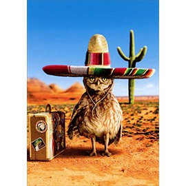 Owl Sombrero Avanti Funny Birthday Card