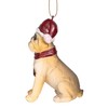 Design Toscano Christmas Ornaments - Xmas Bulldog Holiday Dog Ornaments