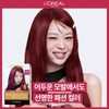 (L'Oréal Paris) SSG Exclusive Set: L'Oréal Paris Excellence Parisien Chic