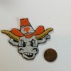 Texas Longhorns vintage iron on embroidered patch 2.5” x 3”