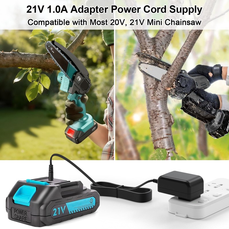 21V AC/DC Adapter Charger for Bomves, for Tingmengte, for FAMICCI