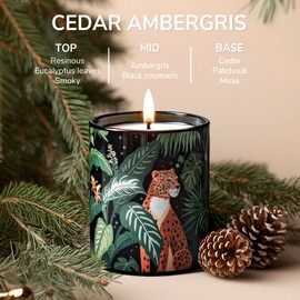 Goodpick Christmas Candle Holiday Gifts, Cedar Ambergris Pine Scented Candles for Men Luxury Candle with Gift Box Winter Candle Soy Candles for Home Scented Birthday Aromatherapy Candles for Him