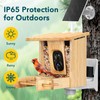 PeckCam® Bird Feeder with Camera - 4MP 2K Live AI