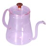 Coffee Kettle Glass Coffee Pot 600ML Coffee Drip Kettle Long