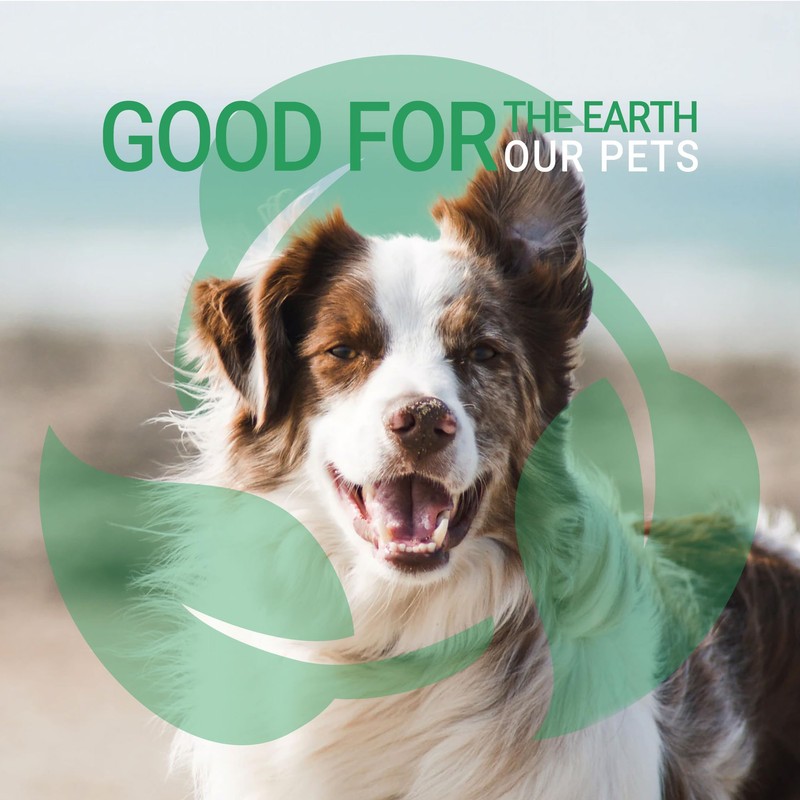 Green Groom Odor Eliminator Dog Shampoo, 16 oz - Crafted