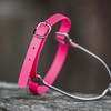 Sprenger BioThane Spur Strap, Stainless Steel - 45 cm, Pink