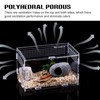 360° Acrylic Terrarium Snail Terrarium: Nizirioo Mini Transparent Acrylic Terrarium,