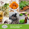 Medicinal Herb Collection - 18 Medicinal Herbs