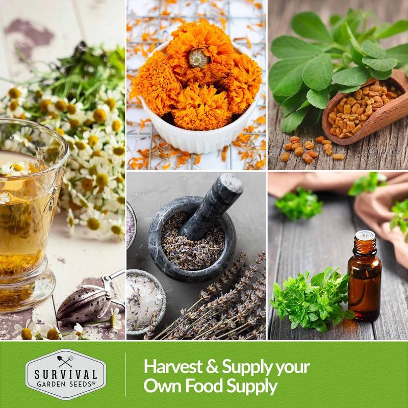 Medicinal Herb Collection - 18 Medicinal Herbs