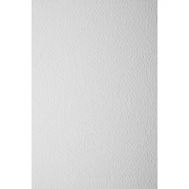 Netuno 10 x Cardboard White Textured on Both Sides DIN A4 210 x 297 mm 250 g Prism Bianco for Card Making Invitations Business Cards Diplomas Certificates for Crafts and Decorating