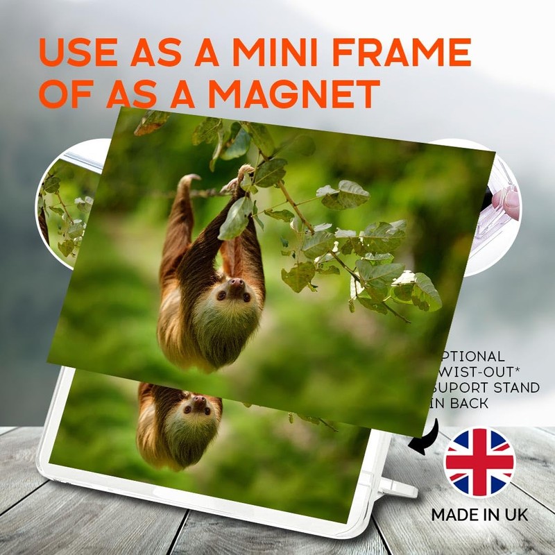 Classic Rectangle Magnet with Stand - Two Toed Sloth Costa