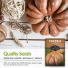 Survival Garden Seeds - Fairy Tale Pumpkin Seed for Planting