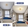 Modern Small Crystal Ceiling Light Fixture, 4-Light Gold Crystal Sputnik