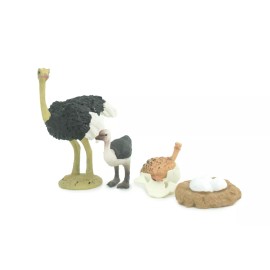 Collectible Wildlife Gifts Ostrich Life Cycle, 4 Piece Set, Toy, Realistic Painted Model 4" CH756 BB190