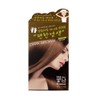 Premium hair dye dark brown, 5 packs, as convenient as shampoo / 펴난 샴푸하듯이 편한 프리미엄 염색약 다크브라운 5개입