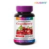 Holidays 홀리데이즈 크랜베리 타블렛 90정 1병 (3개월분) Holidays Cranberry Tablet