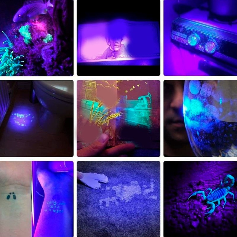 SV50 20W 365nm Flashlight Rechargeable Blacklight Flashlight for Detecting Forged