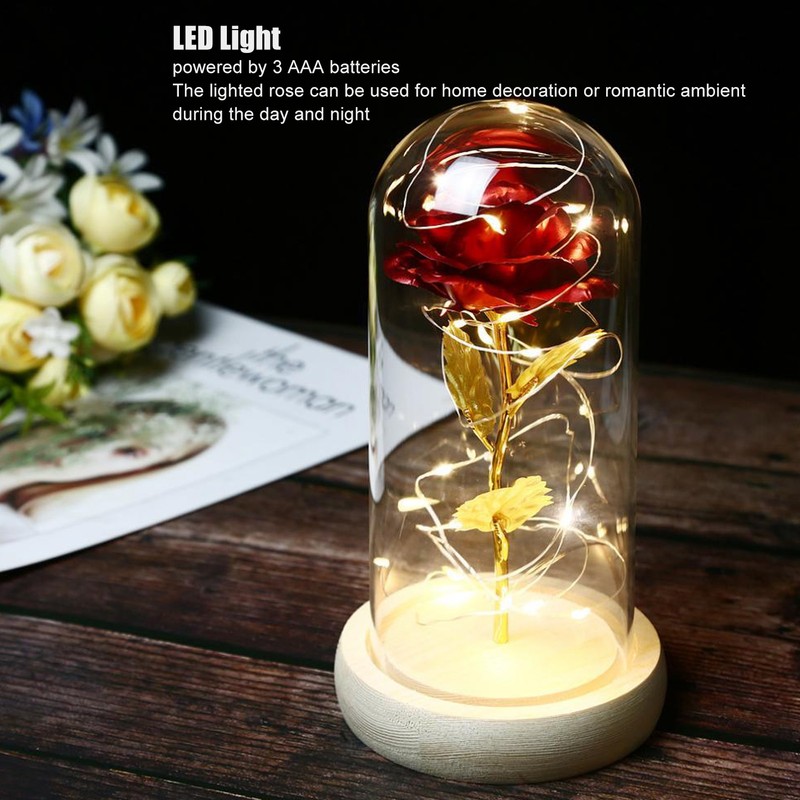Rose in Glass Dome Lucky Beautiful Symbolism Romantic Enchanted Rose