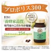 Yamada Beekeeping Field Propolis 300, Pack of 100, Supplement, Health