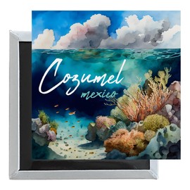 Cozumel Mexico Souvenir 2.5 x 2.5-Inch Fridge Magnet B