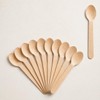 Greenwize Packaging - 100 Pack - 110mm - Birchwood Wooden