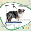 Aliceset 2 Sets No Sit Pet Haunch Holder Dog Grooming