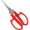 Cactus 3 Piece Blade 摘果 Shears No. (A Little Bit