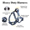 QQPETS Dog Harness Leash Set Adjustable Heavy Duty No Pull