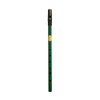 Feadog Irish Brass D Tin Penny Whistle in Green