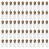 Wshxjzyay 60 Pieces 1 ml Small Glass Bottles with Cork