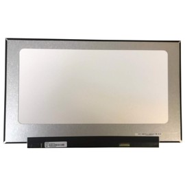 TECHNOLOGYVS Compatible with Asus TUF Gaming FX705DT AU042T 17.3" Laptop LED LCD FHD IPS Screen Panel Display Monitor 30 Pins 1920x1080