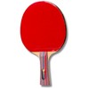 Best Sport Training Table Tennis Bat - Multi-Colour