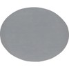 TRUSCO SMB-1-05MARU Stainless Steel Disk, Diameter 2.0 x Thickness 0.04