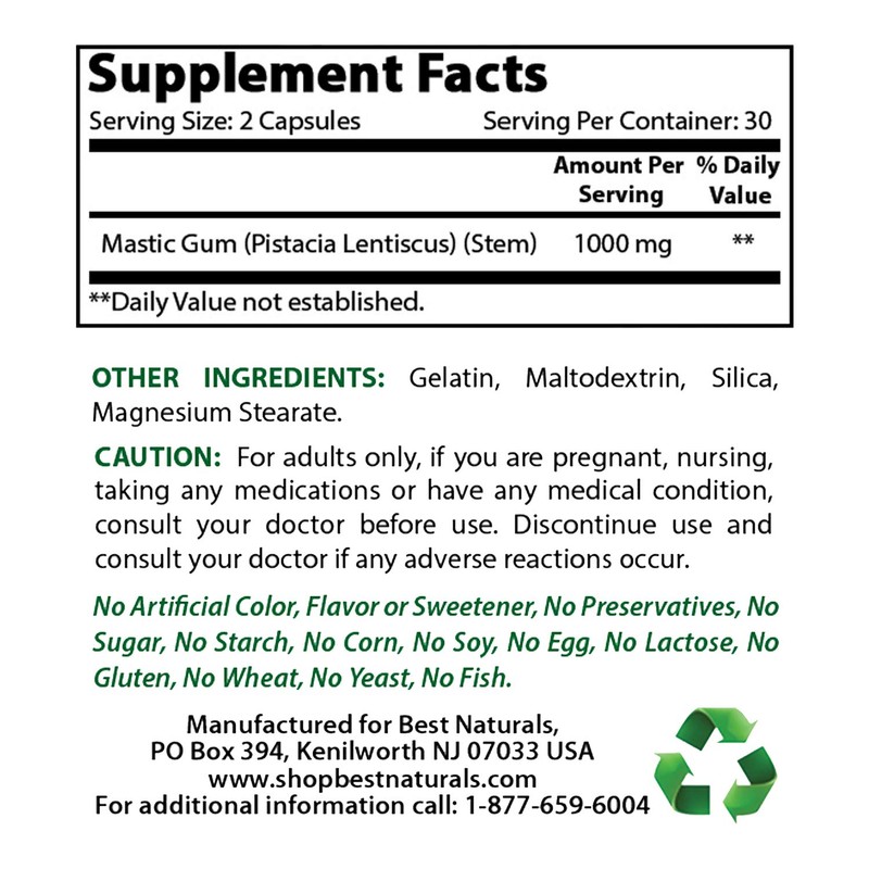 Best Naturals Mastic Gum 500 mg 60 Capsules (60 Count