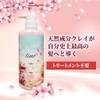 lino Clay Cream Shampoo Blossom Mint Scent, 17.6 oz (500