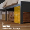 Rolanstar Bed Frame Twin Size with USB Charging Station, LED