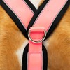 Reflective Anti-Pull "Y" Shaped Harness - Ideal for Lebreles: Italian