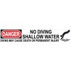 StickerTalk Danger No Diving Shallow Water Vinyl Sticker, 16 inches
