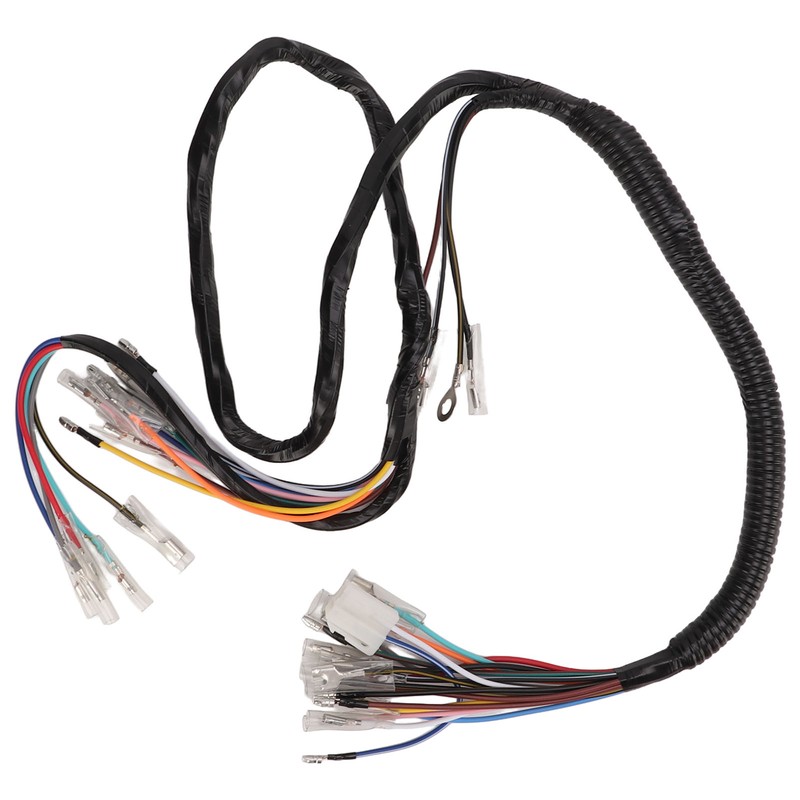 Vehicle Complete Main Electrical Wiring Harness with Connectors Automotive Replacement